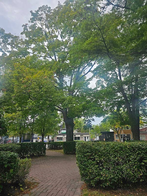 Jackson's Point Parkette - Image 1