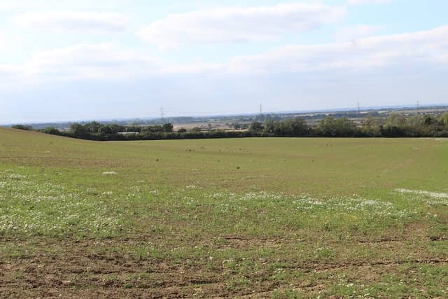 Poplar Farm Fields - Image 2