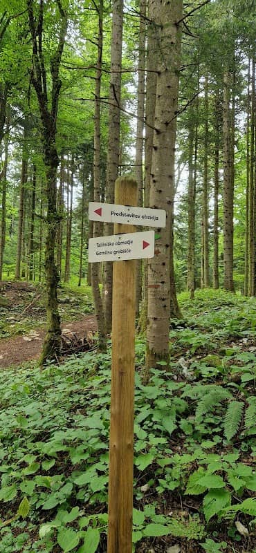 Talilniško območje Cvinger - Image 2