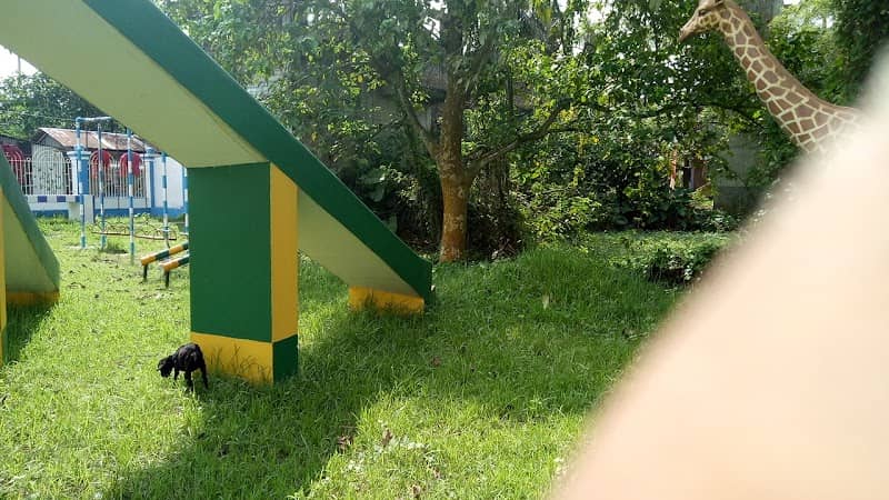 Kalabagan Public Park - Image 1