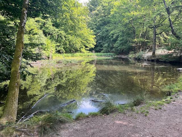Wanderweg „Aubachtal” - Image 1