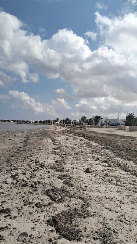 Plage Face île des flamants - Image 1