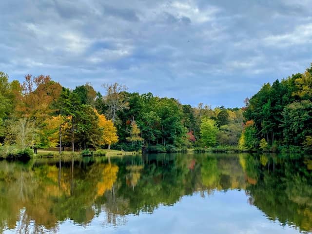 Anne Springs Close Greenway - Lake Haigler - Image 1