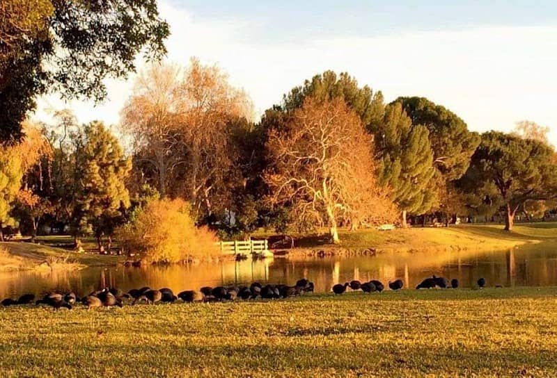 Whittier Narrows Natural Area - Image 1