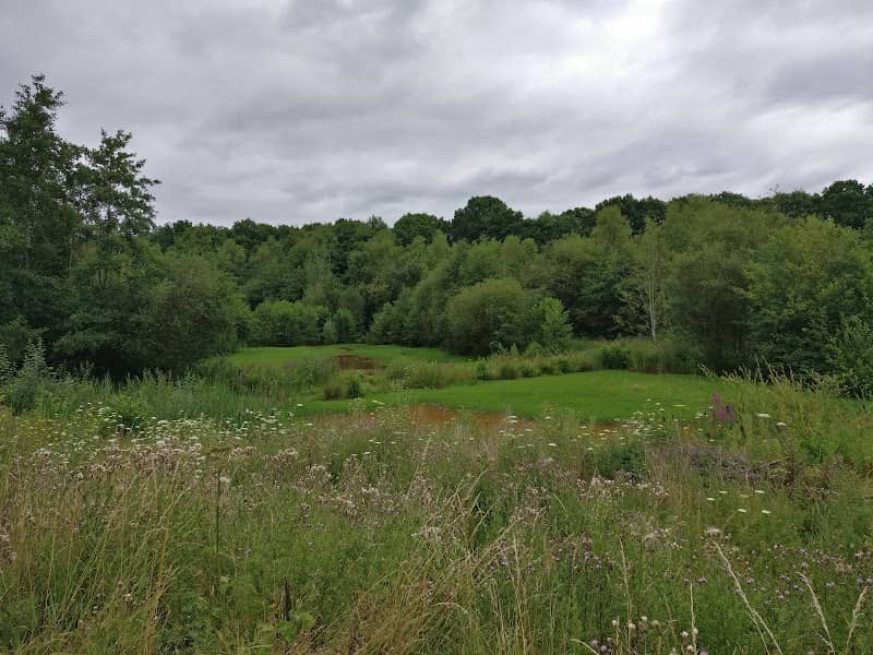 Maidenbower Pond - Image 1