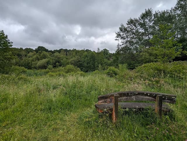 Maidenbower Pond - Image 3