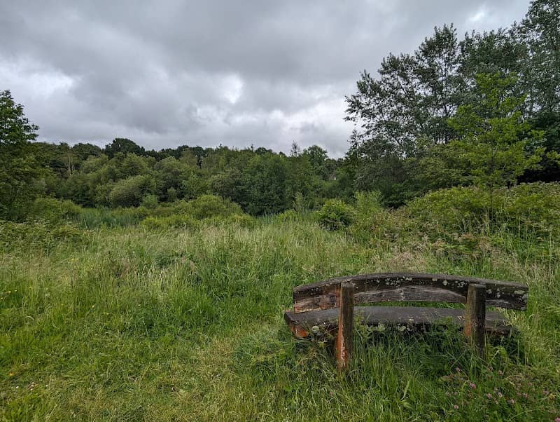 Maidenbower Pond - Image 3