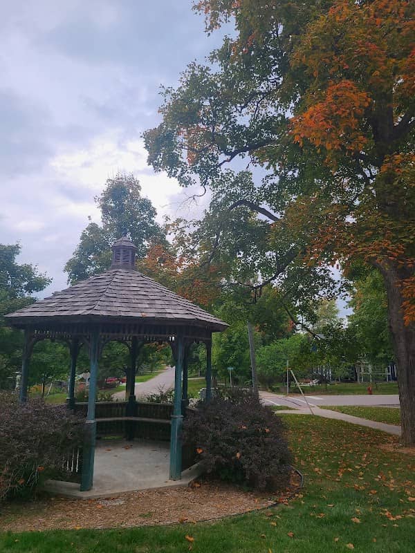 Lion's Park - Image 2