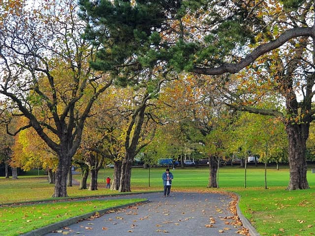 Alexandra Park - Image 1