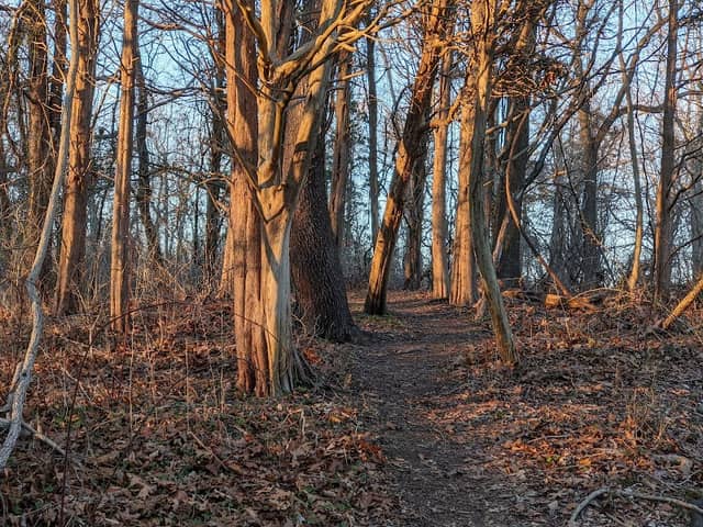 Rassapeague County Park - Image 3