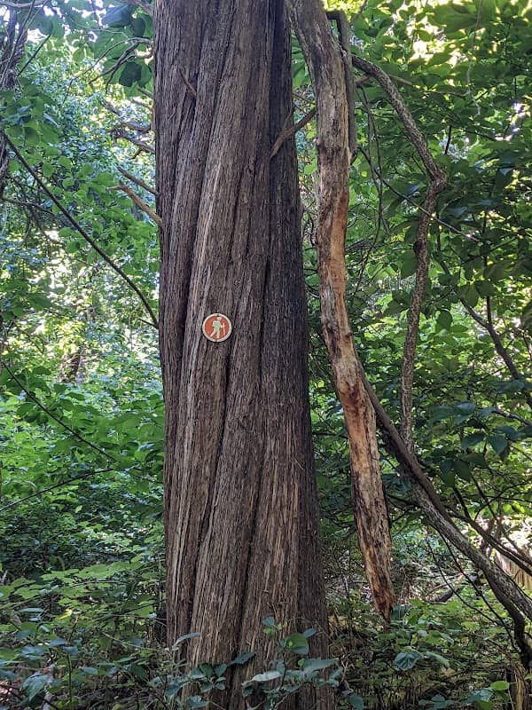 Rassapeague County Park - Image 2