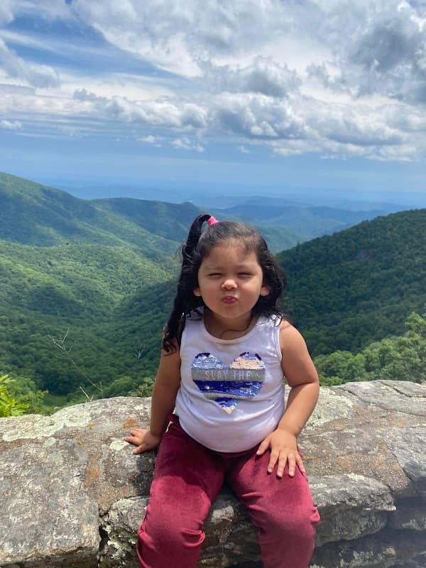 Blue Ridge Parkway - Laurel Springs Access Point - Image 1