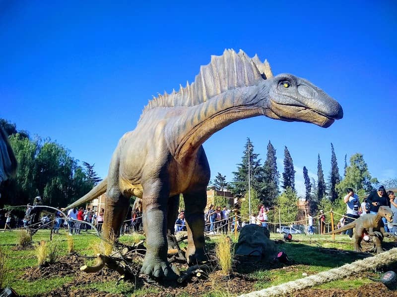 Parque Central - Image 2
