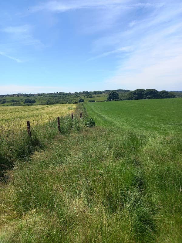 Path to birchen wood and kidsgrove - Image 2