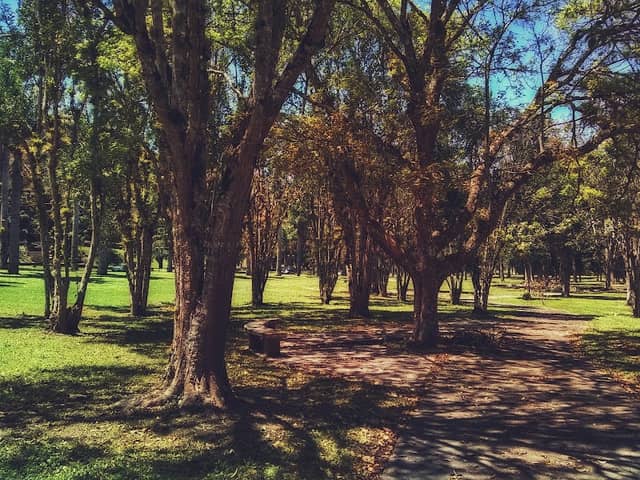 Guardabosques USB - Image 1