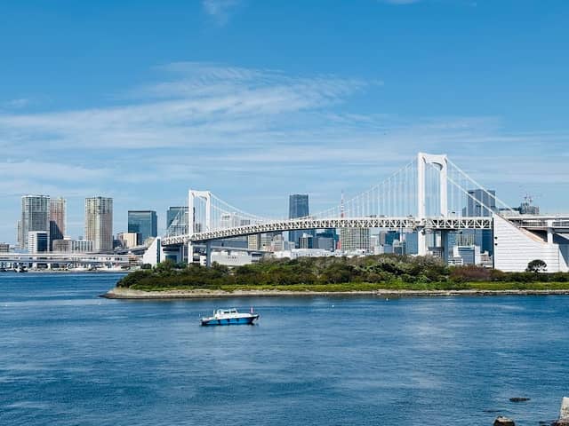 Statue of Liberty - Odaiba - Image 2