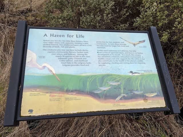 Inglenook Fen & 10 Miles Dune - Image 3