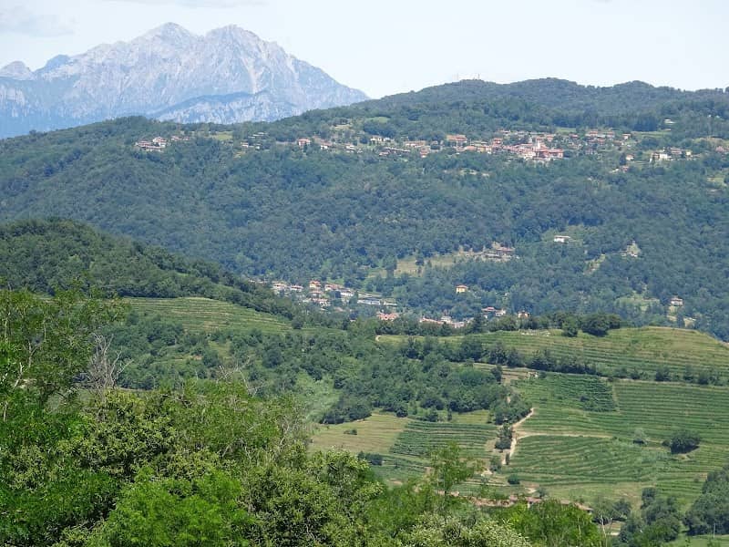 Parco Regionale di Montevecchia e della Valle del Curone - Image 1