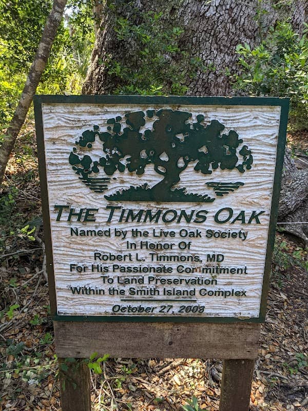Timmons Oak - Image 1