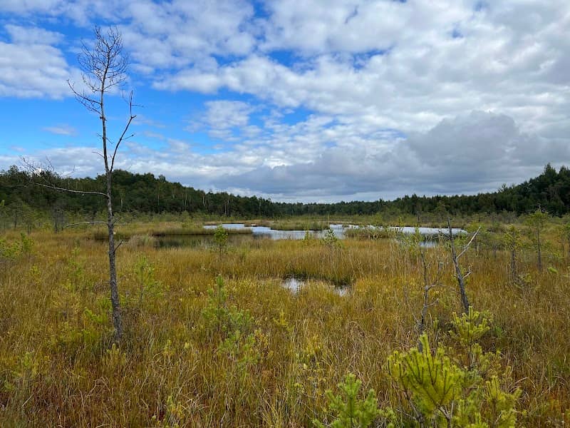 Varnikai Nature Trail - Image 1