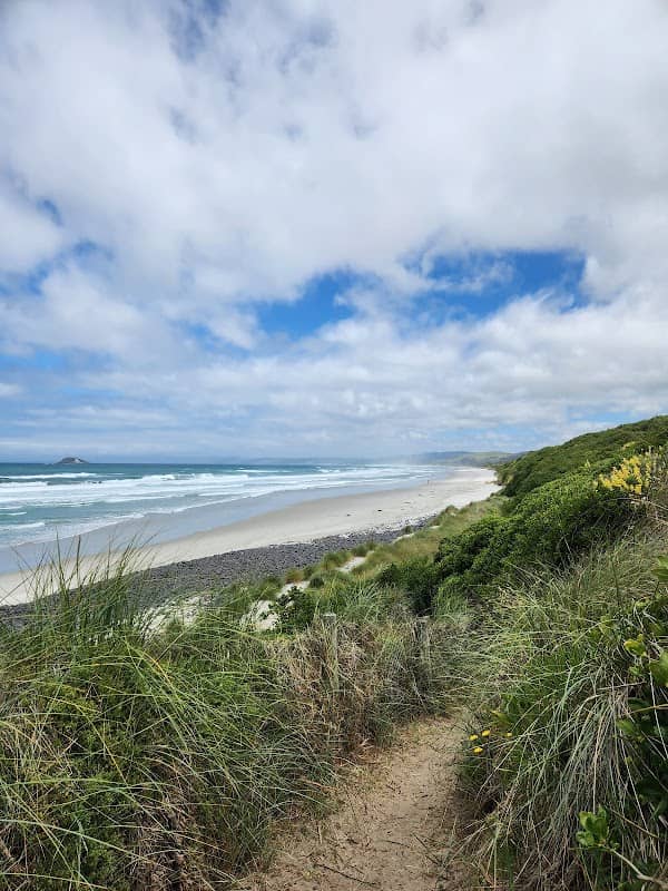 Island Park Reserve - Image 1