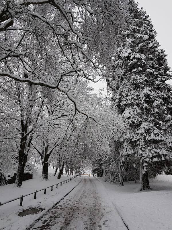 War Memorial Park - Image 2
