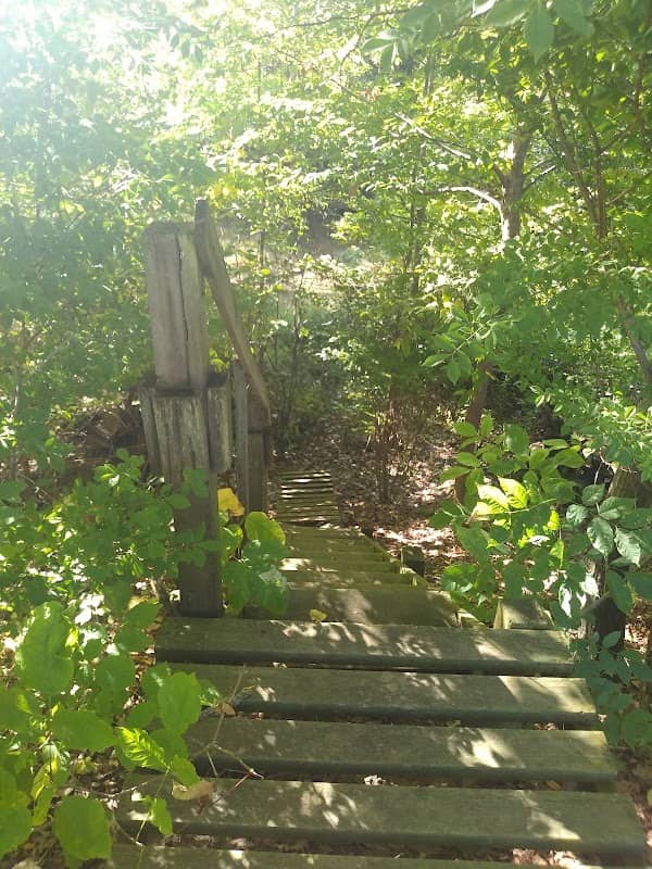 East Arm Little Calumet Trail - Image 1