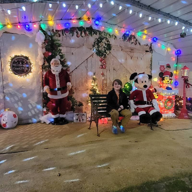 Wood’s Family Christmas Lights - Image 1