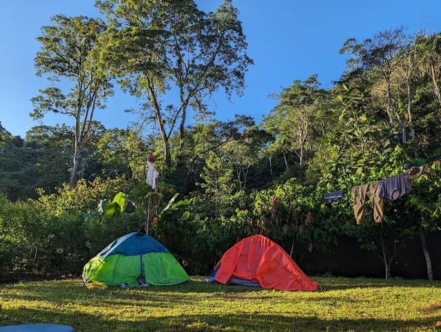 Maiboa - Image 1