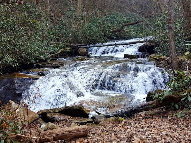 Taylor's Island - Hiwassee River Recreation Area - Image 2