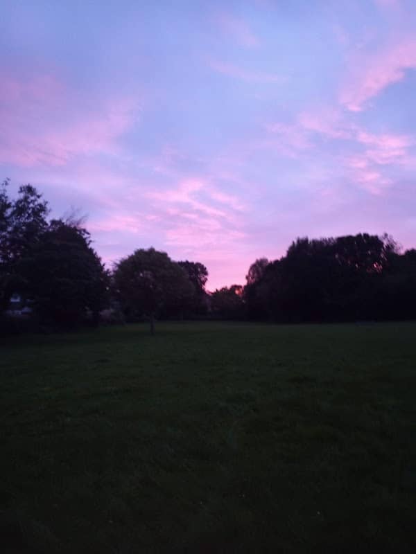 Claremont Open Space - Image 2