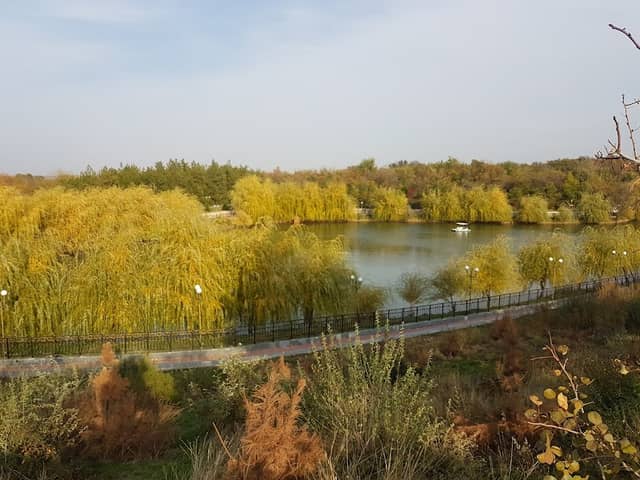 Dendropark - Image 2