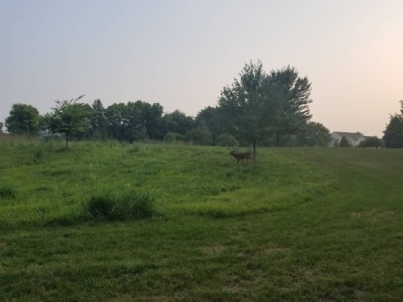 Horizon's Ridge Park - Image 2