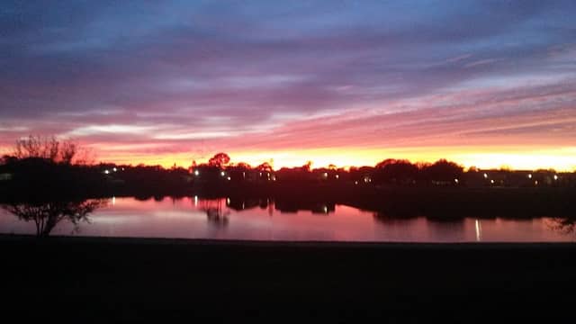 Bracco Pond - Image 2