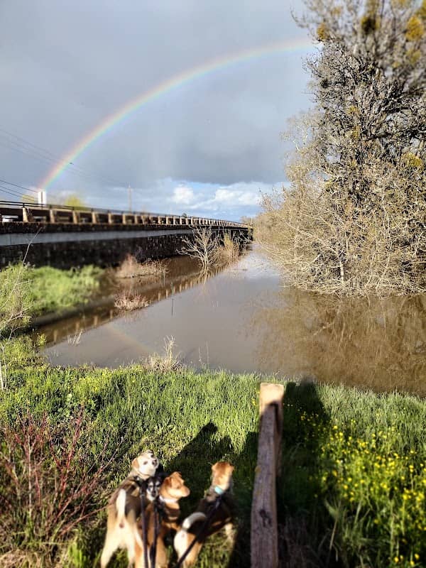 Tomodachi Park (Laguna de Santa Rosa Wetlands Preserve) - Image 1