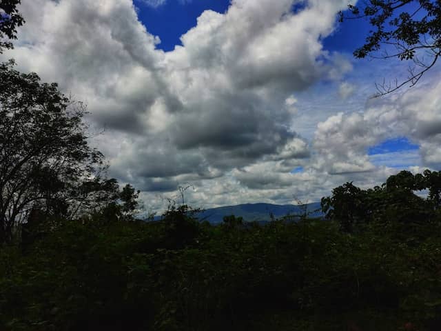 Nambuthiri Hills (നമ്പൂരി കുന്ന്) . - Image 1