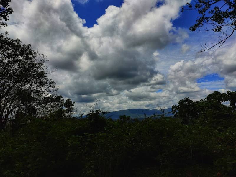 Nambuthiri Hills (നമ്പൂരി കുന്ന്) . - Image 1