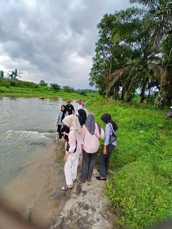 Napaliut - Image 2