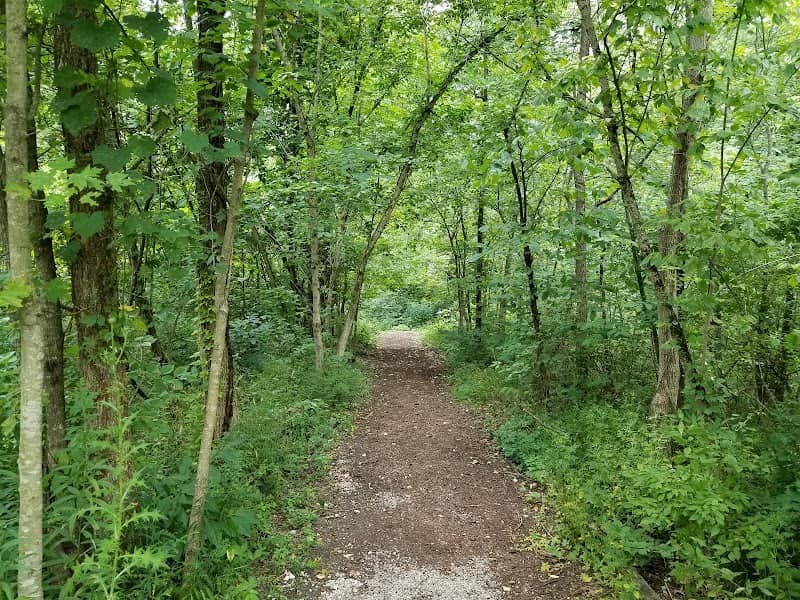 Gahanna Woods State Nature Preserve - Image 1