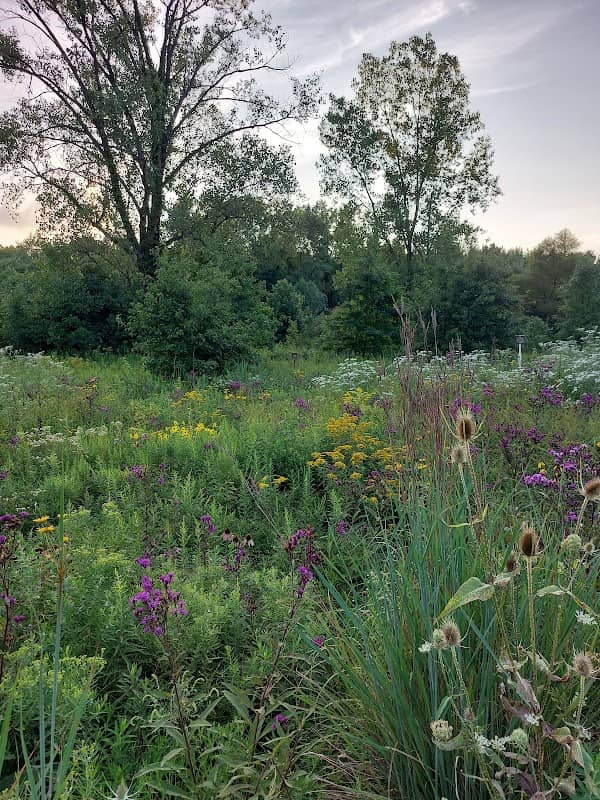 Gahanna Woods State Nature Preserve - Image 2