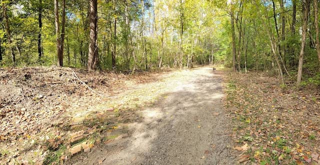 West loveland - Image 1