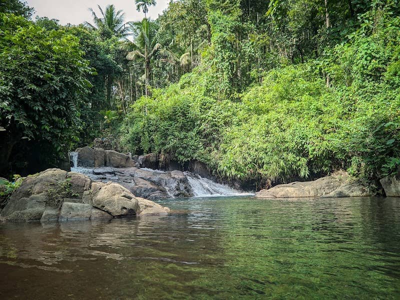 Mudikkal waterfalls ( മുടിക്കൽ വെള്ളച്ചാട്ടം) - Image 1