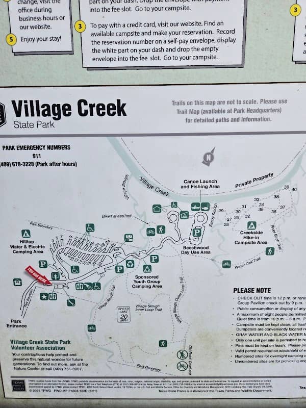 Village Creek State Park - Image 2