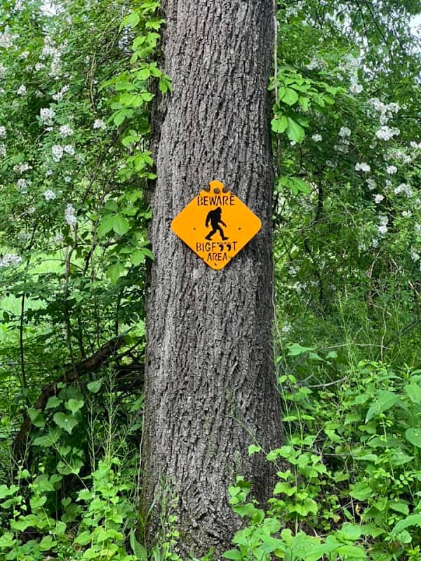 Bigfoot Farms - Image 2