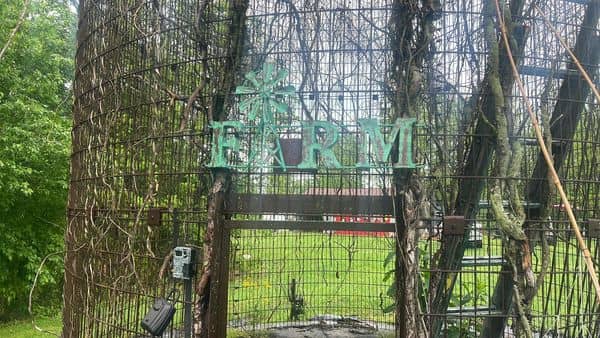 Bigfoot Farms - Image 1