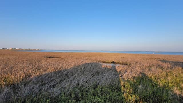 Kayak Launch - Image 2