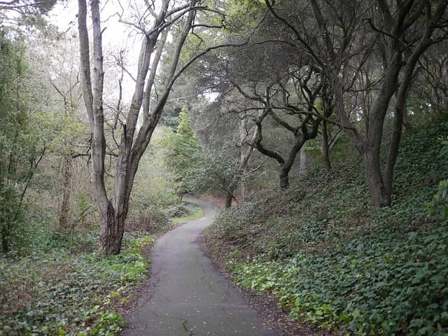 Canyon Trail Park - Image 3