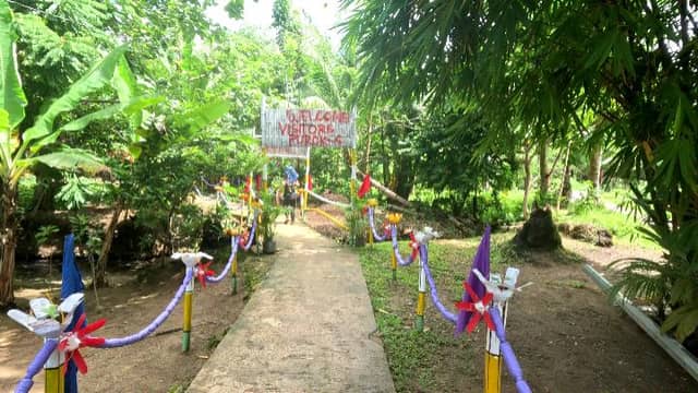 Purok 4-Rose - Image 1