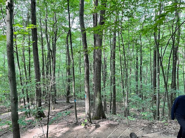 Pine Cobble Trailhead - Image 2