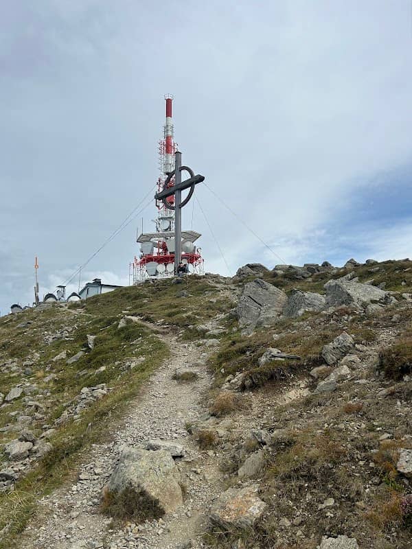 Lanner Boschebenkreuz - Image 2